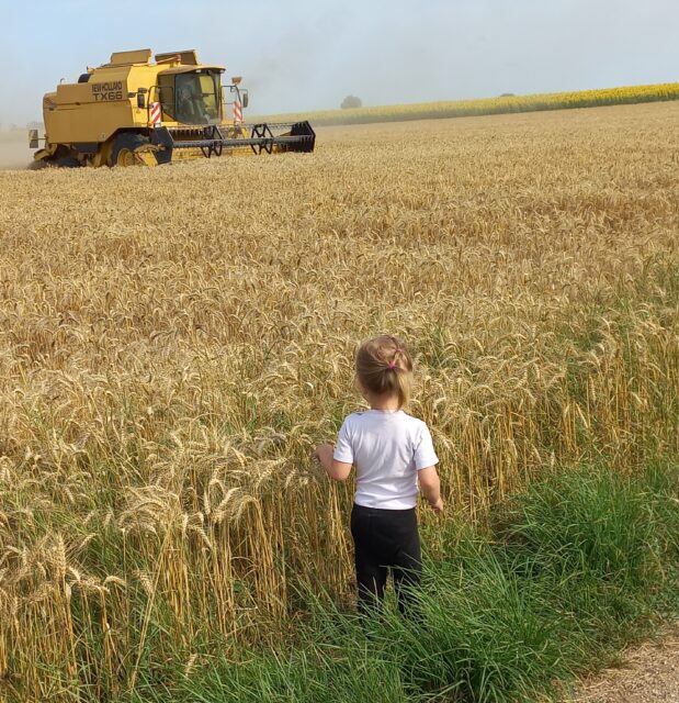 Junior girl bei der Getreideernte